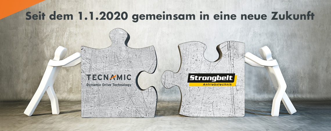 Tecnamic und Strongbelt - gemeinsam in eine neue Zukunft Tecnamic und Strongbelt - gemeinsam in eine neue Zukunft