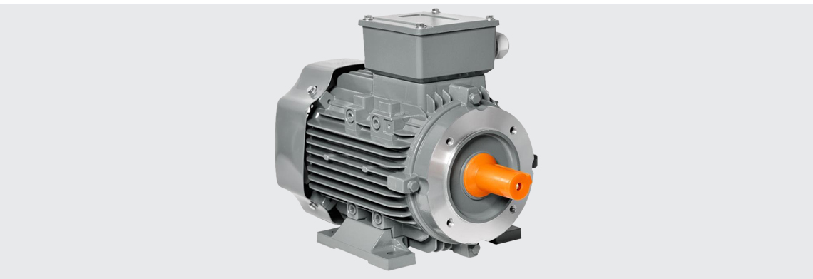 The right motor for your drive The right motor for your drive